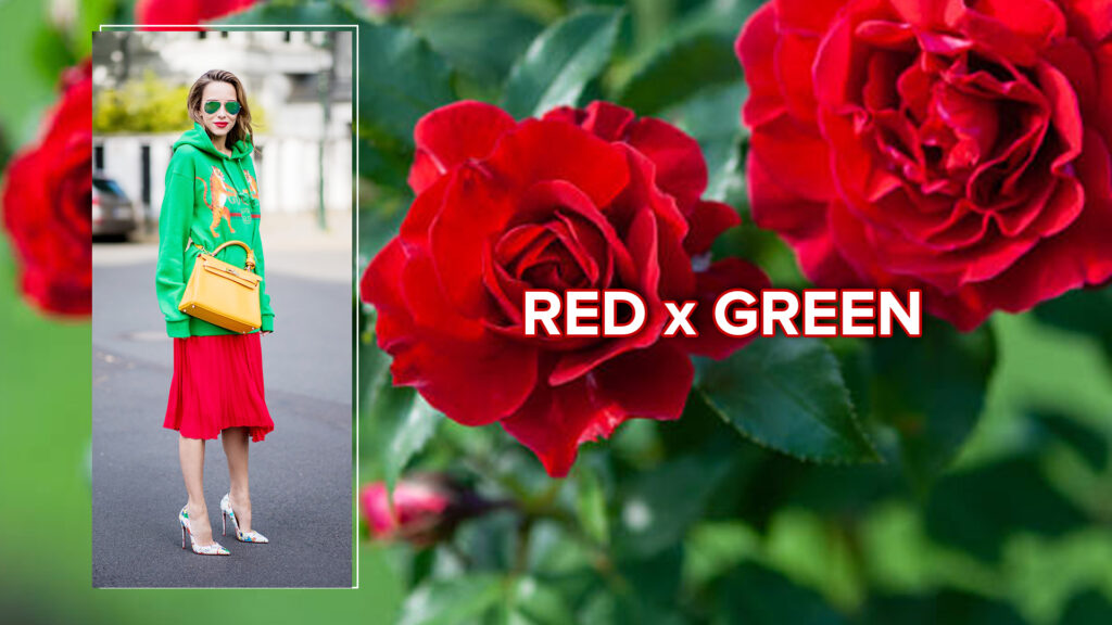 Red Green Color Theory