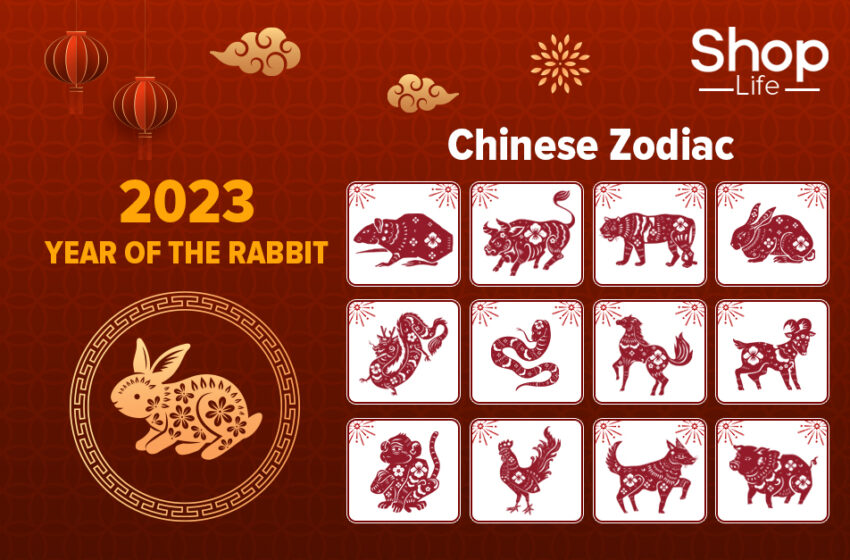 2023 Chinese New Year is the Year of the Rabbit!